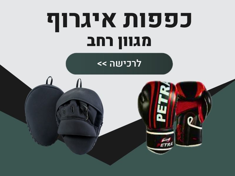 כפפות אגרוף